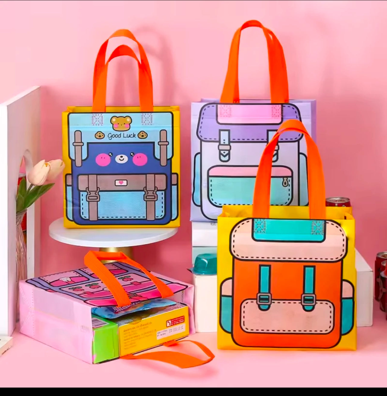 Small Reusable Gift Bag