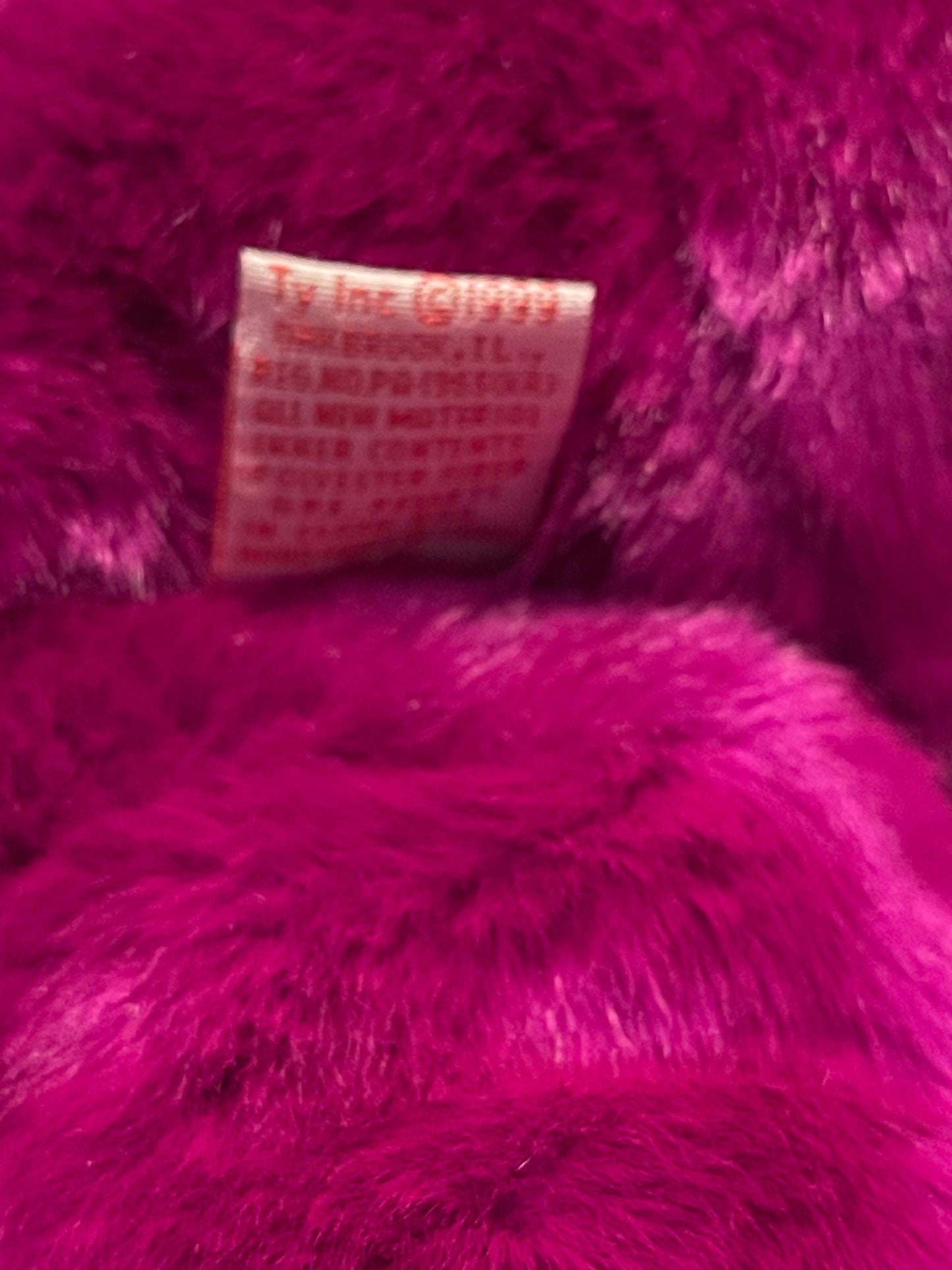 Millennium Beanie Buddy