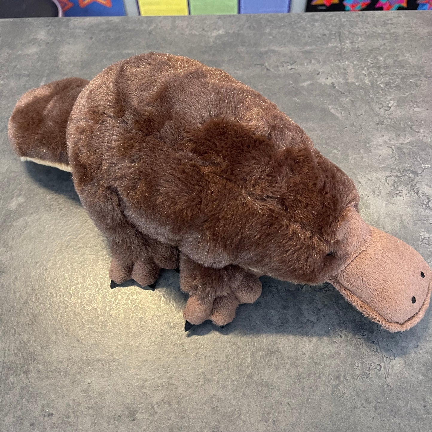 Platypus Plush