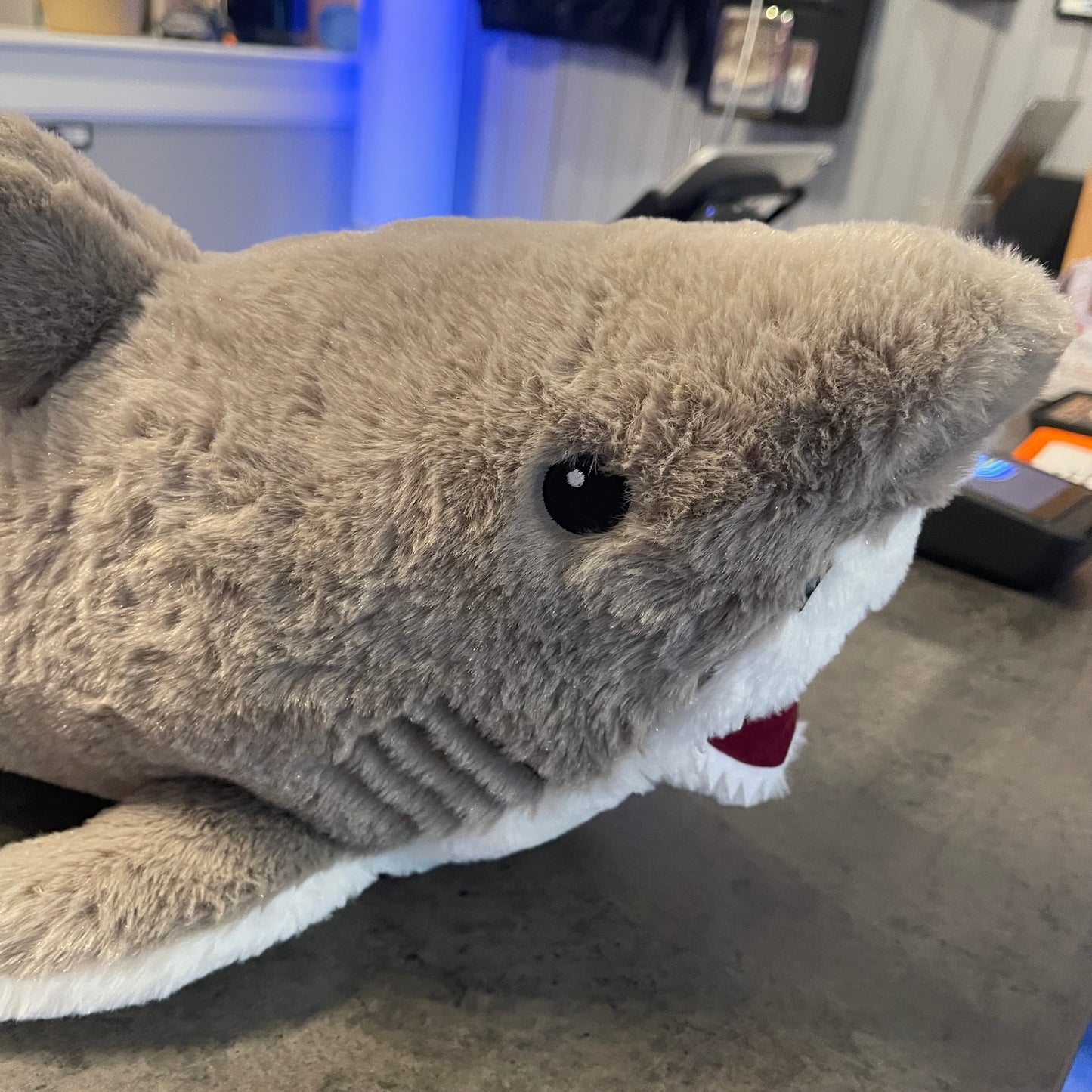 Great White Shark Plush
