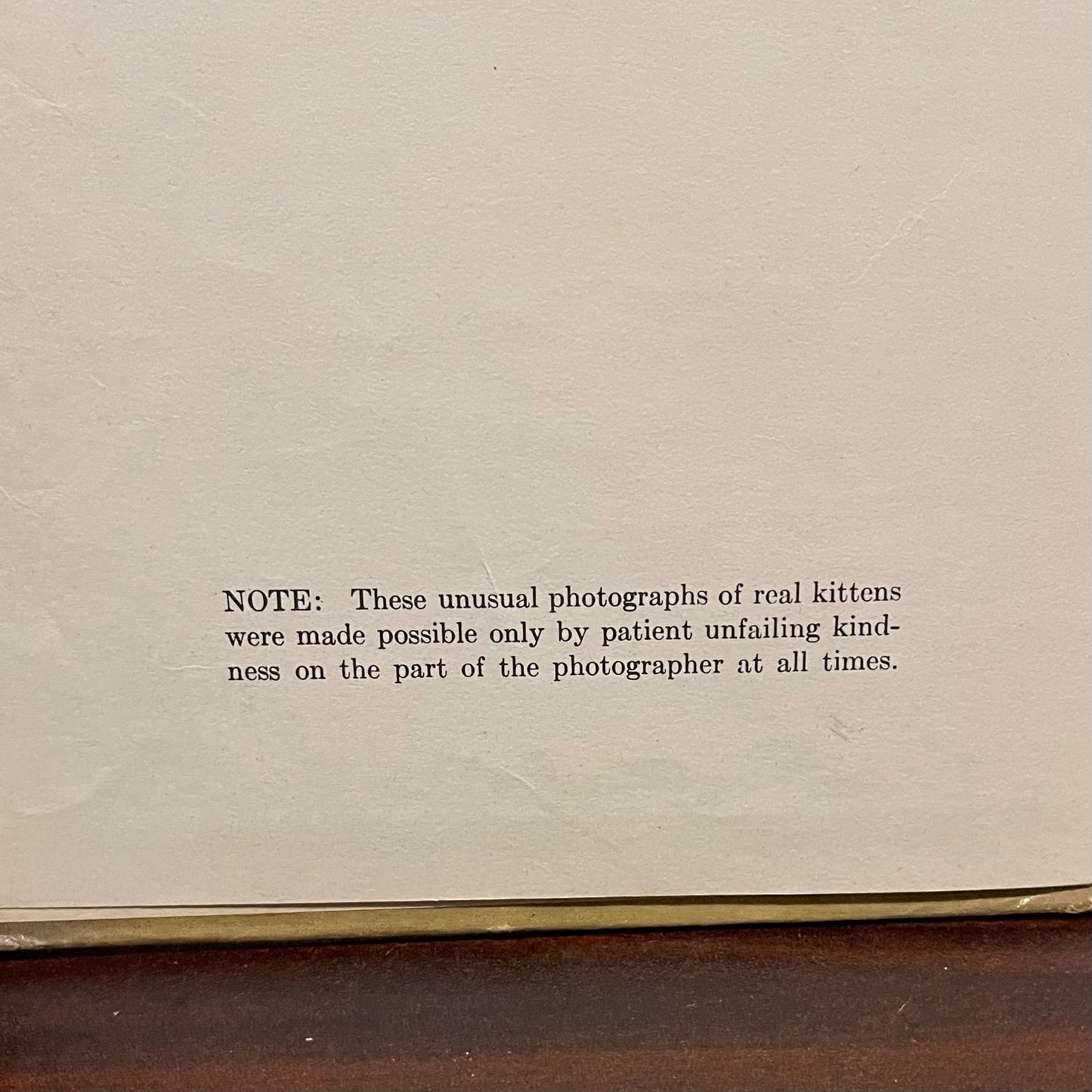 The Little Kittens Nursery Rhymes