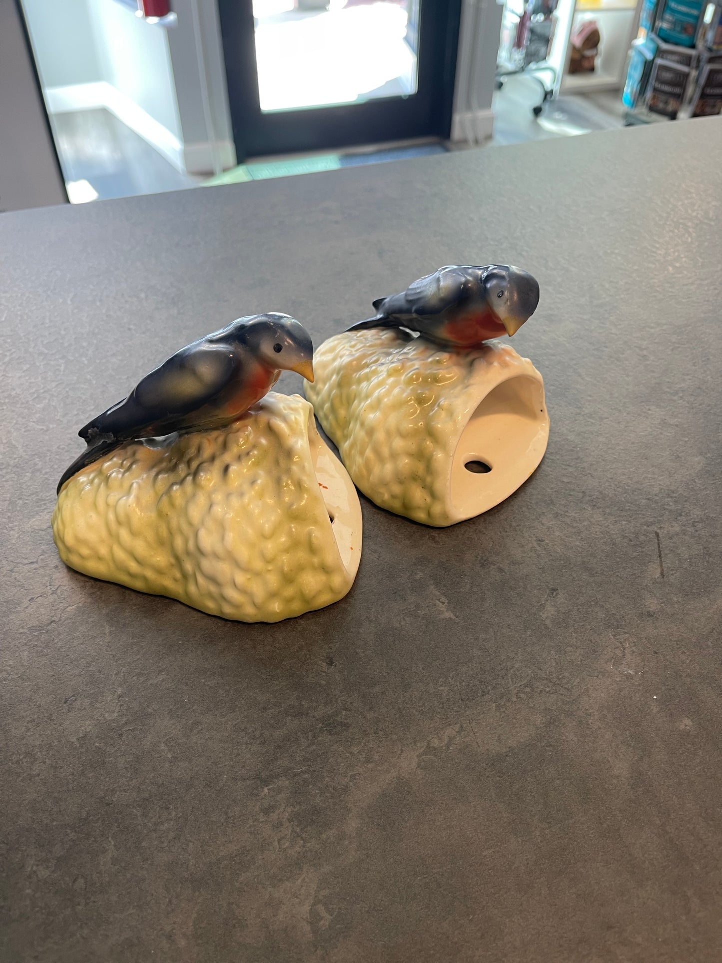 Pair of Purple Martin Wall Planters