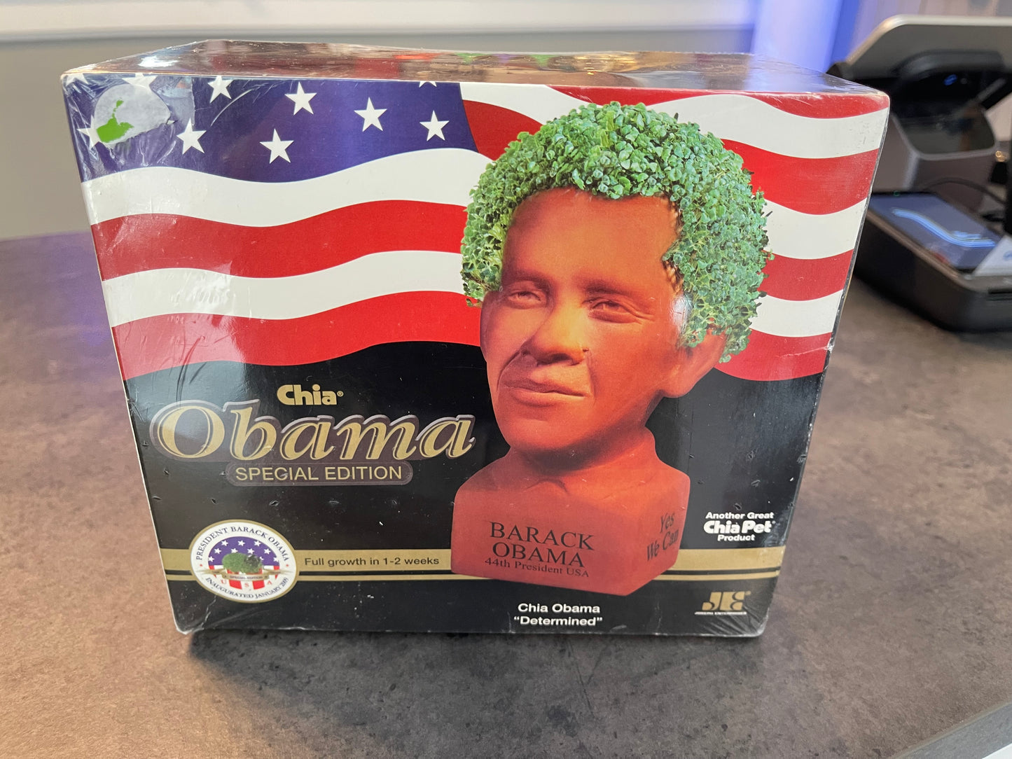 Determined Obama Chia Pet