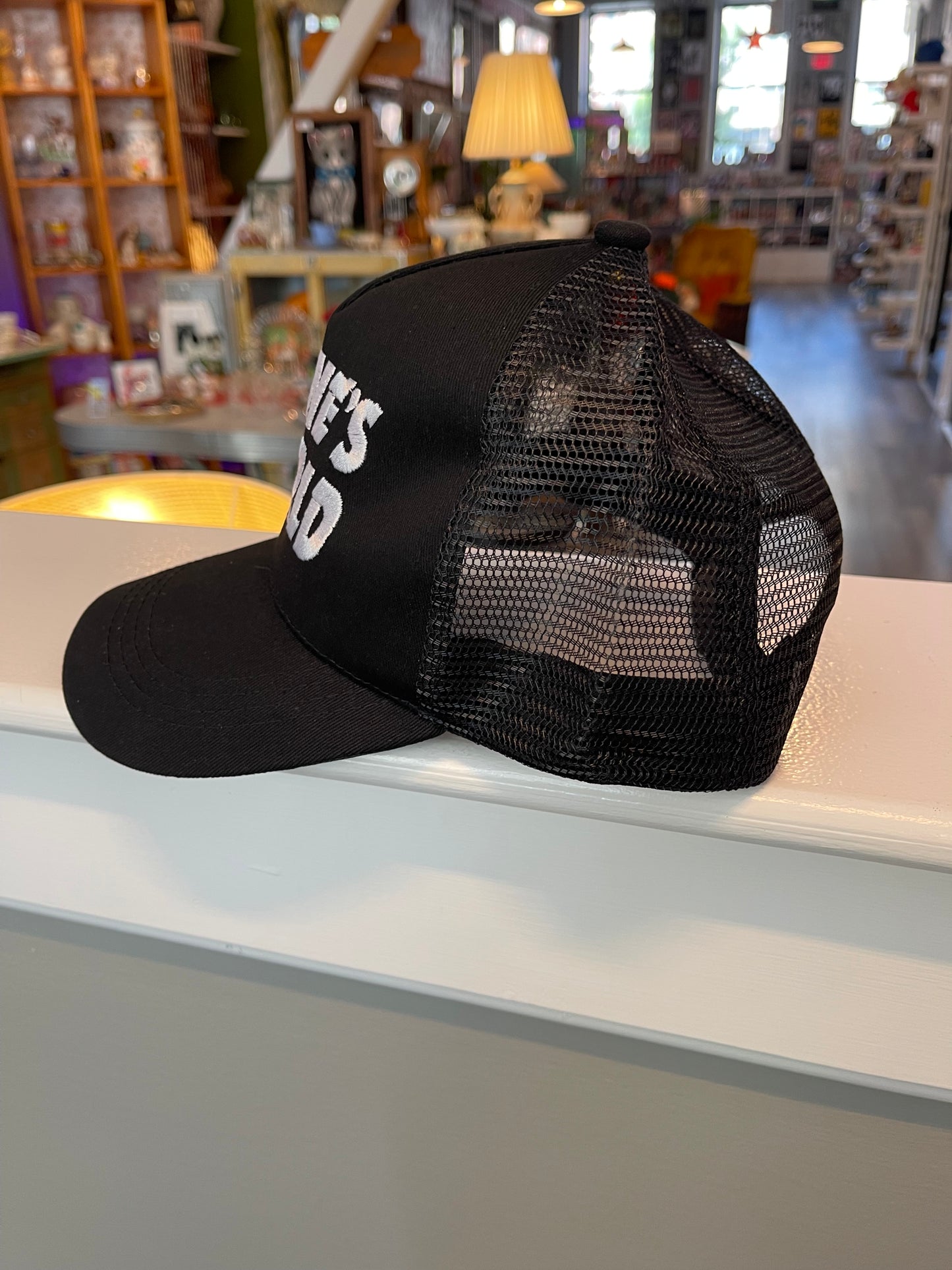 Wayne's World Baseball Hat