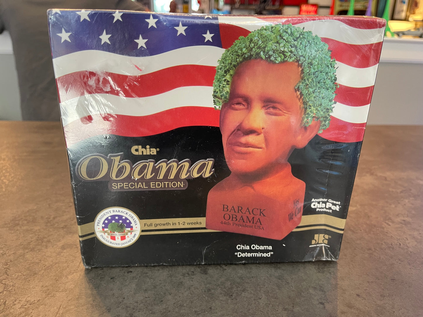 Determined Obama Chia Pet