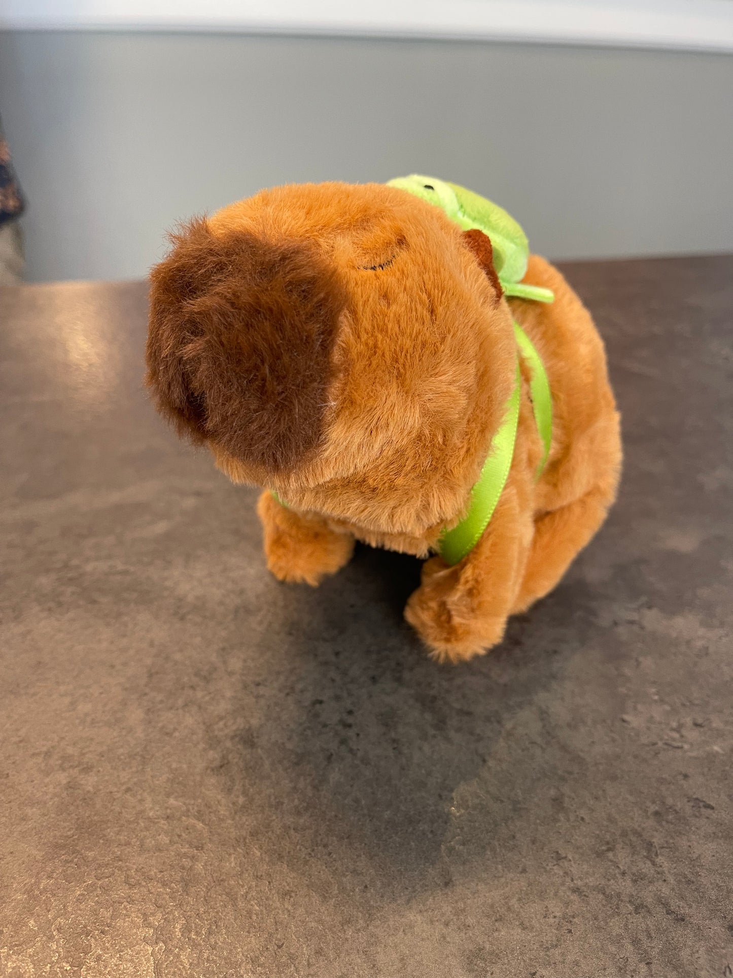 Pet Walking Capybara Stuffy