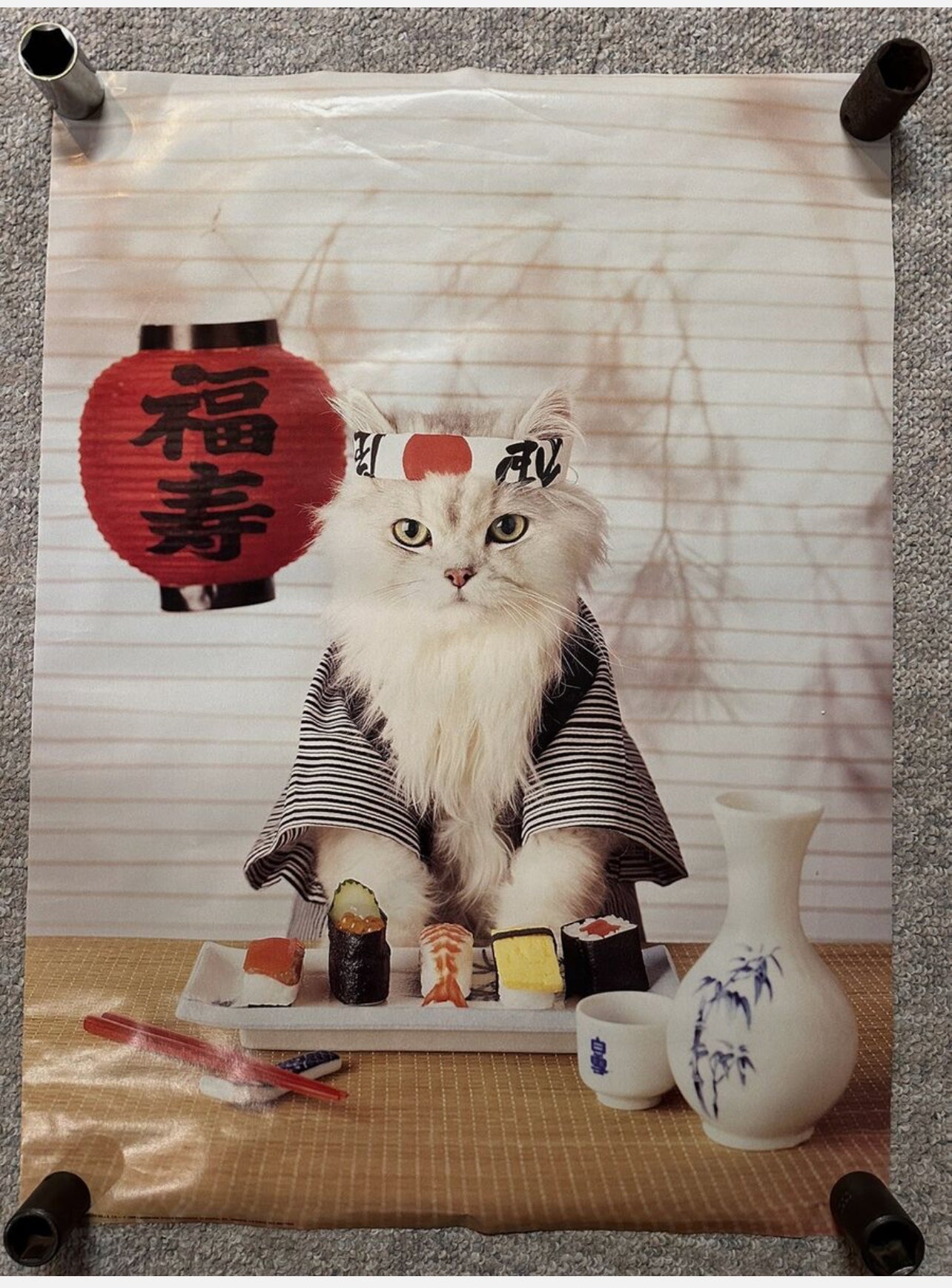Framed Sushi Cat Poster