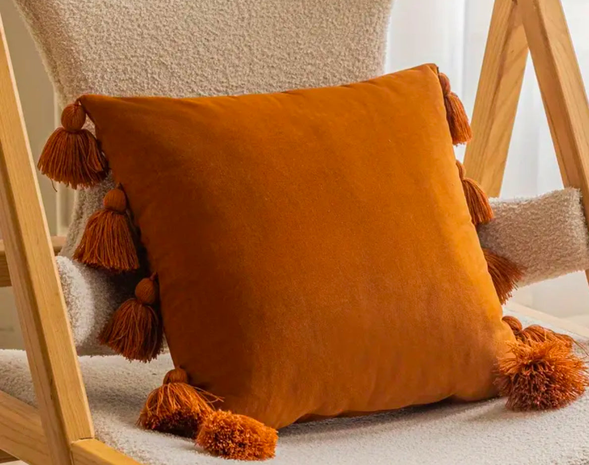 Velvet Tassel Pillow
