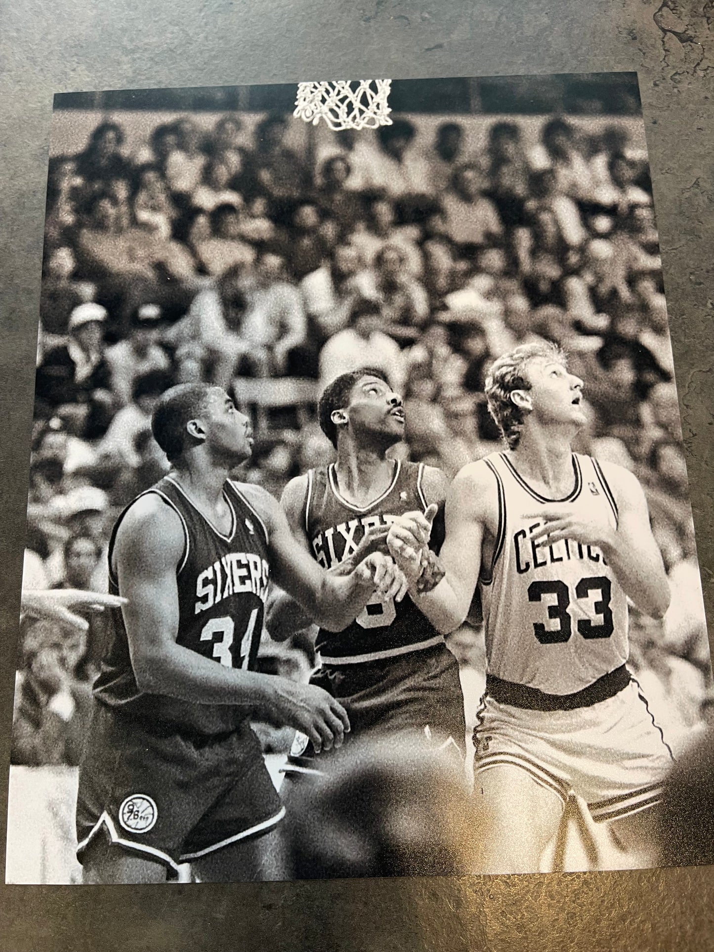 Larry Bird Framed Photo Print