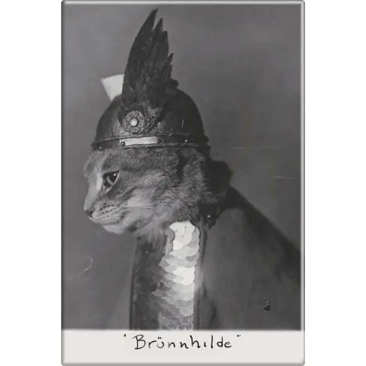 Brunhilde Magnet