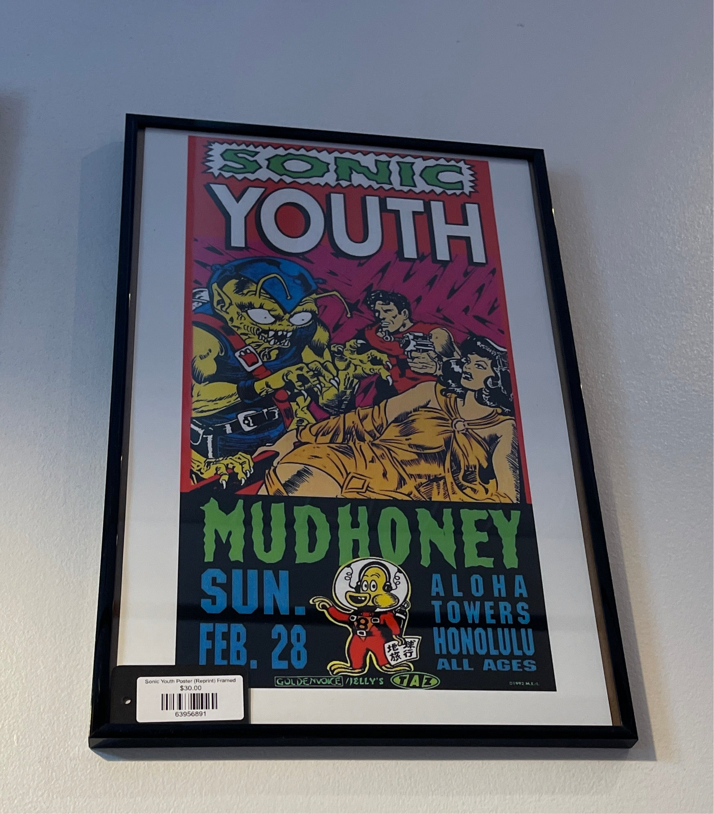 Sonic Youth Poster (Reprint) Framed