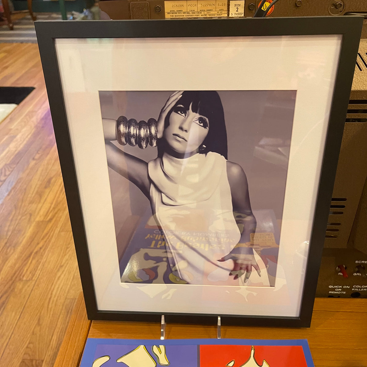 Mod Cher Framed Photo Print