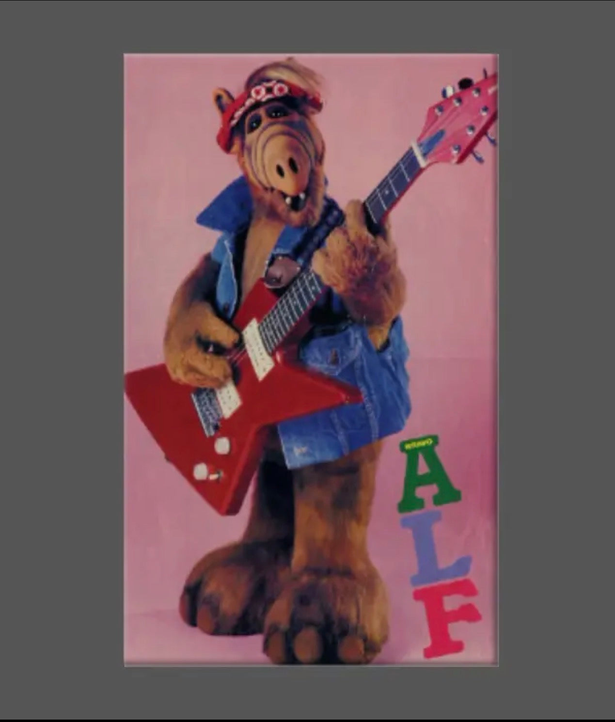 Alf Rocks Magnet