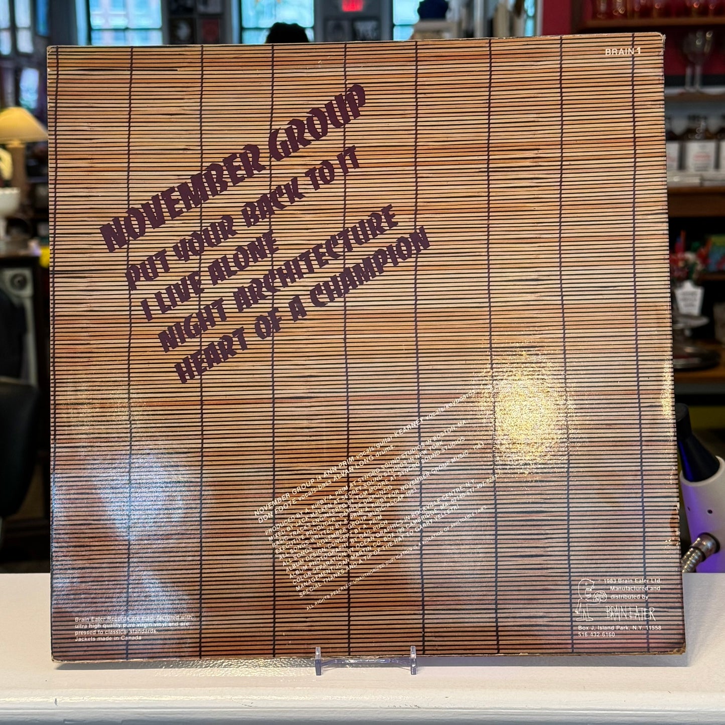 November Group - "Persistent Memories" Vinyl LP