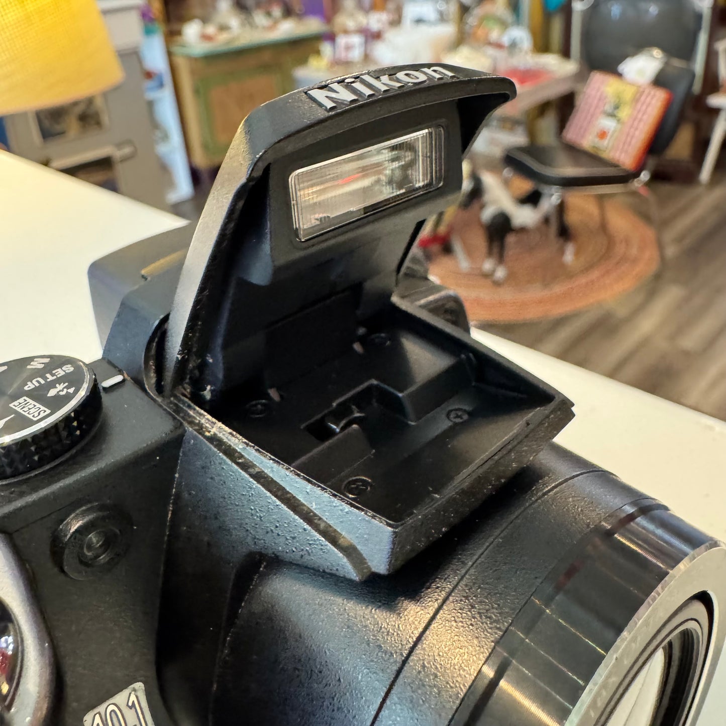 Nikon P80 Digital Camera