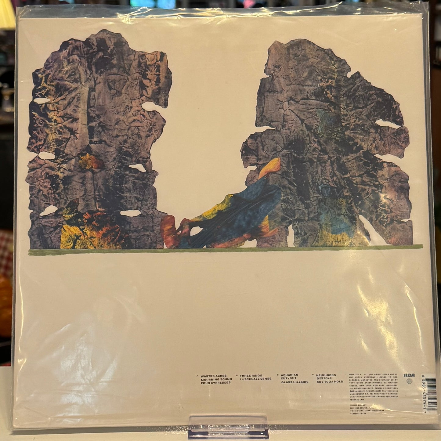 Grizzly Bear - "Painted Ruins" 2017 Vinyl