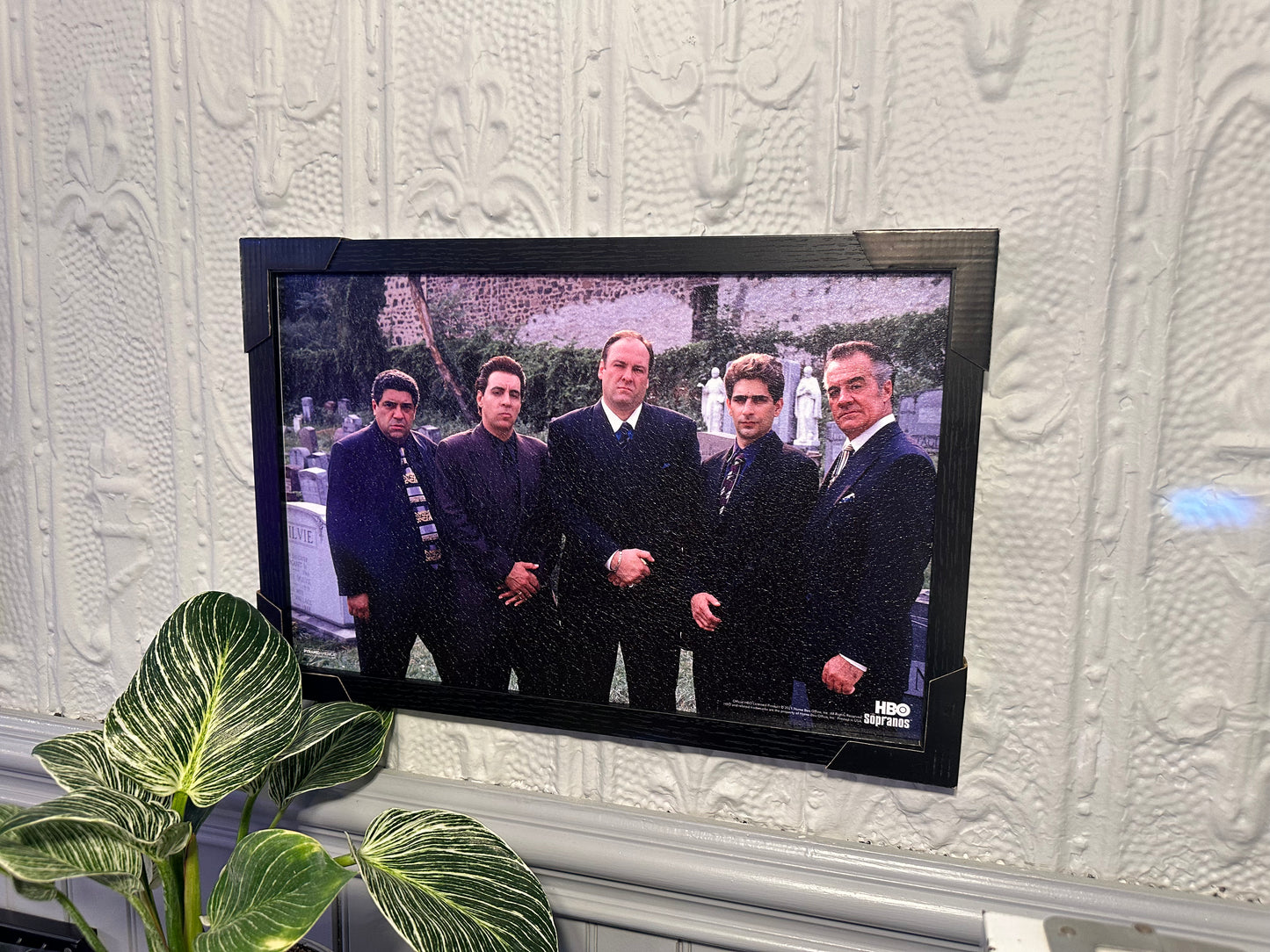 Sopranos Framed Print