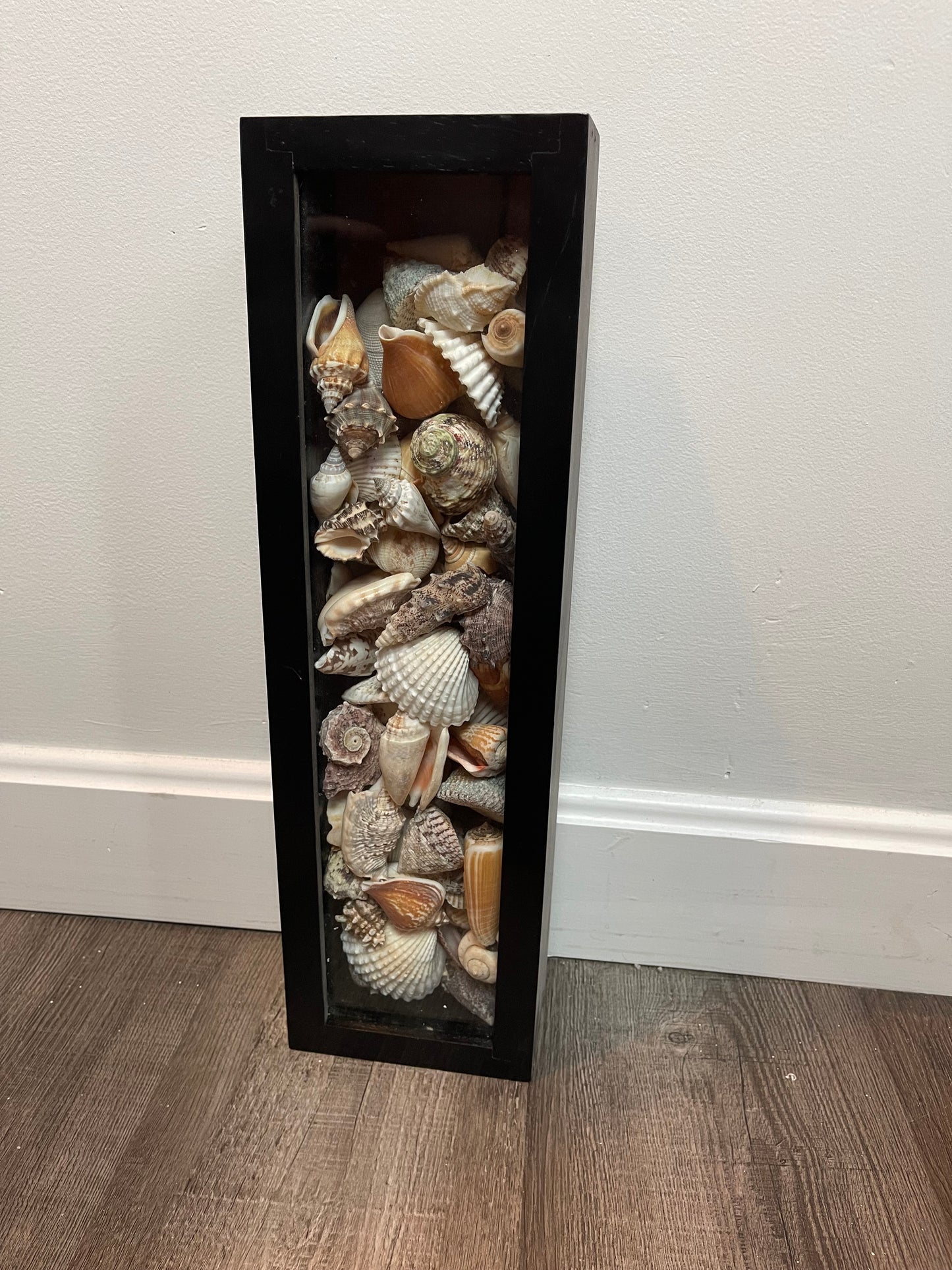 Seashell Box