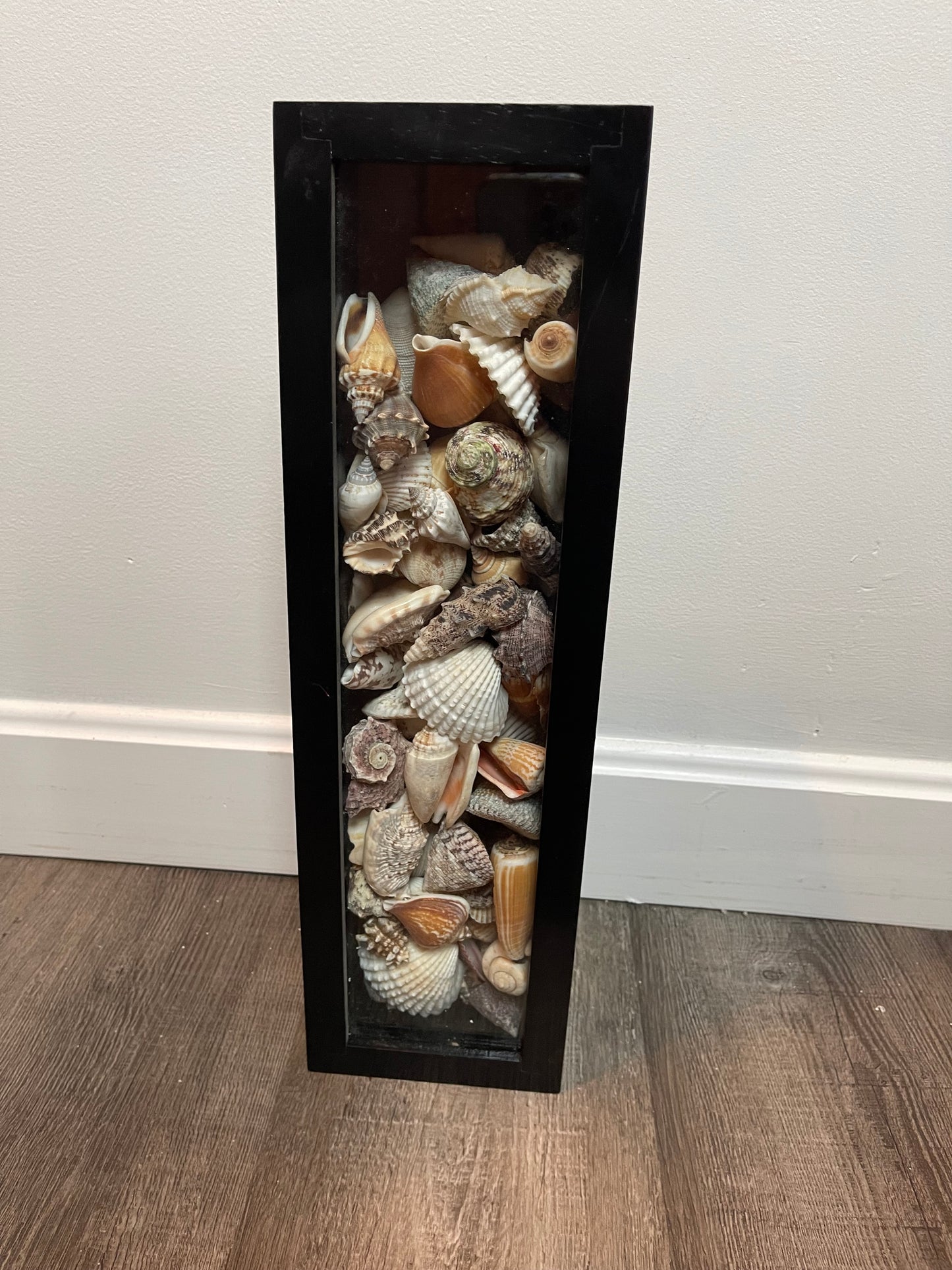 Seashell Box