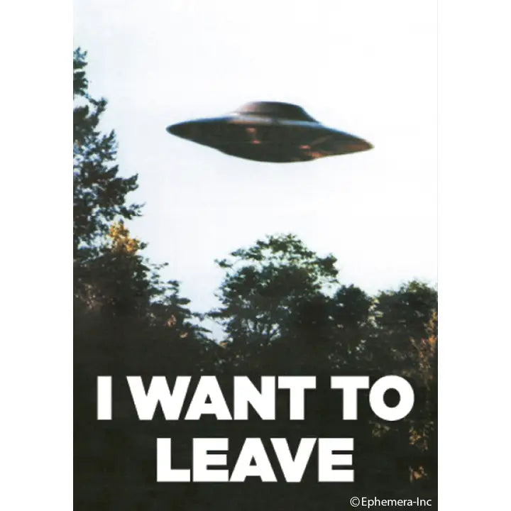 UFO Magnet
