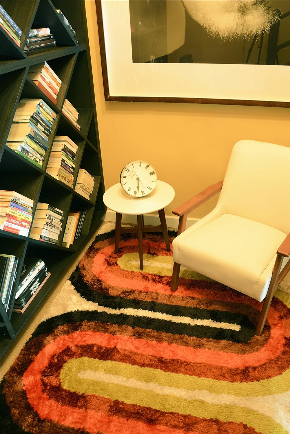 Retro Shag Rug