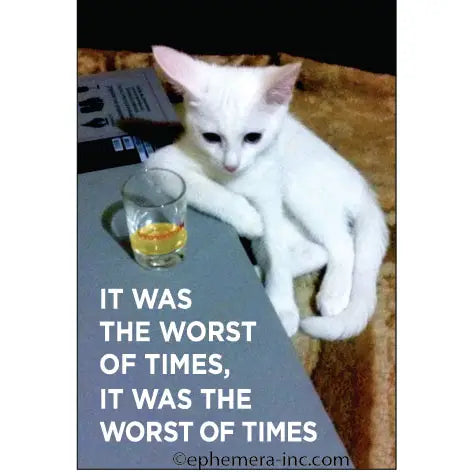 Worst of Times Magnet