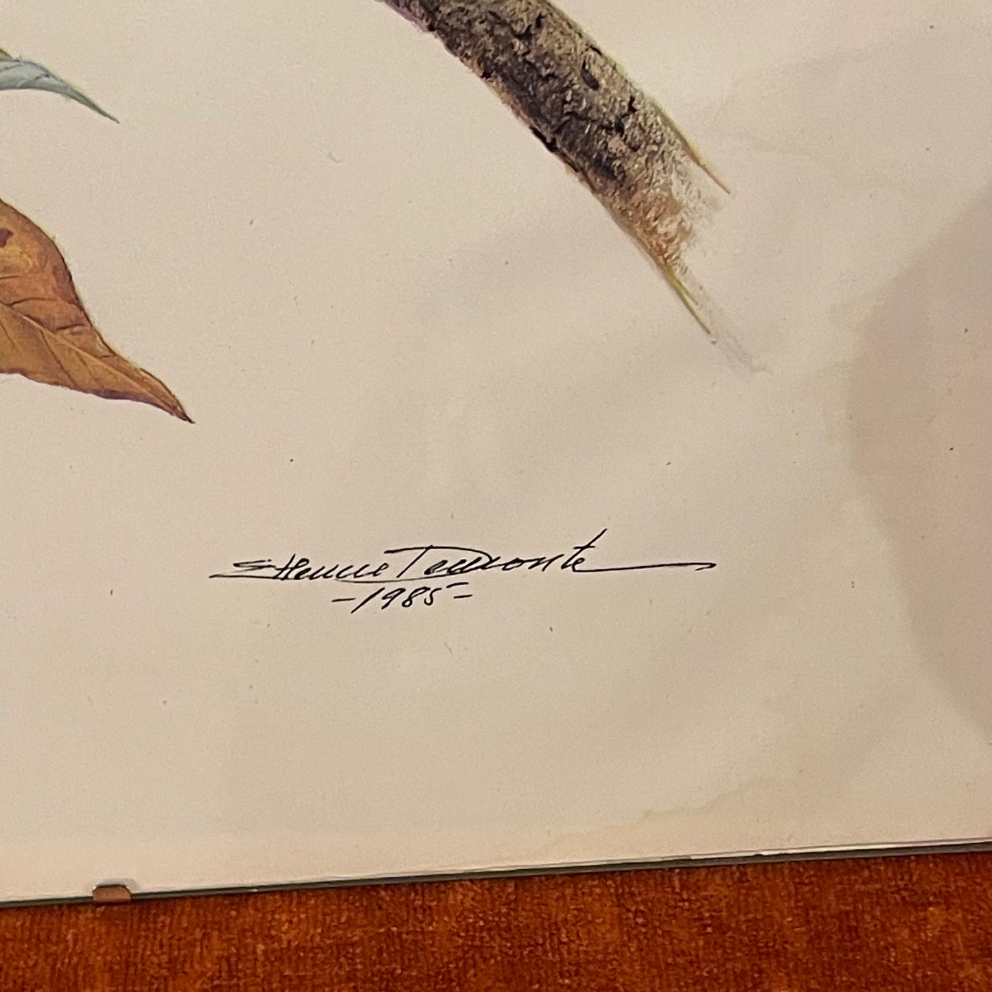 Etienne Demonte Cayenne Aracari Lithograph