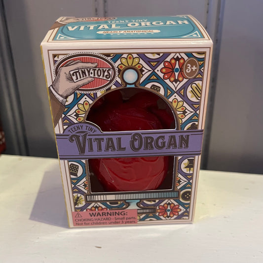 Tiny Squishy Anatomical Heart