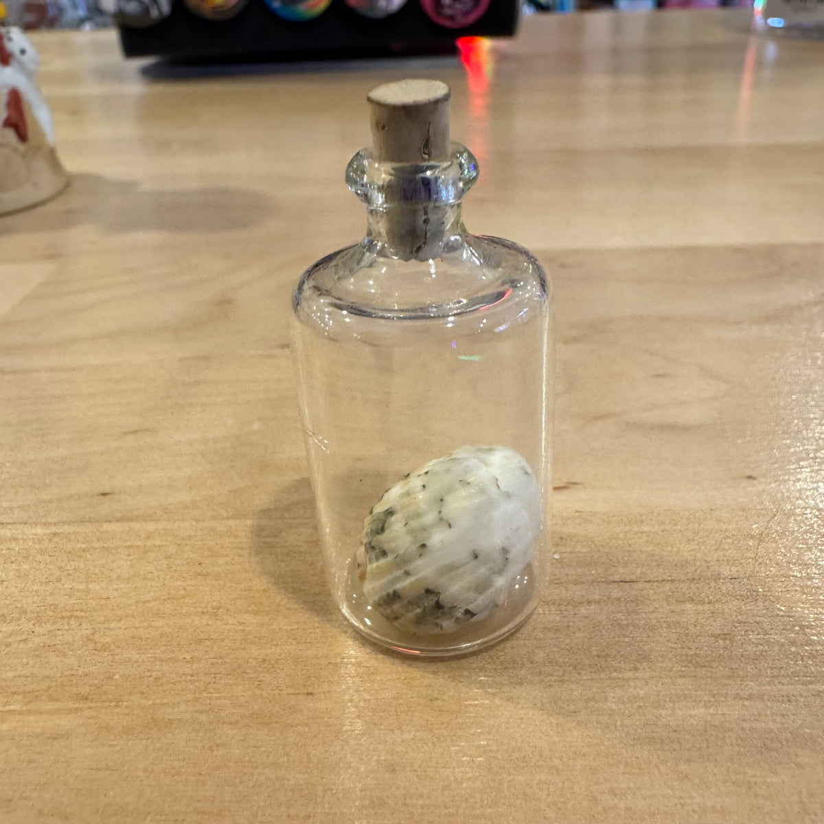 Tiny Glass Bottle with Shell Inside