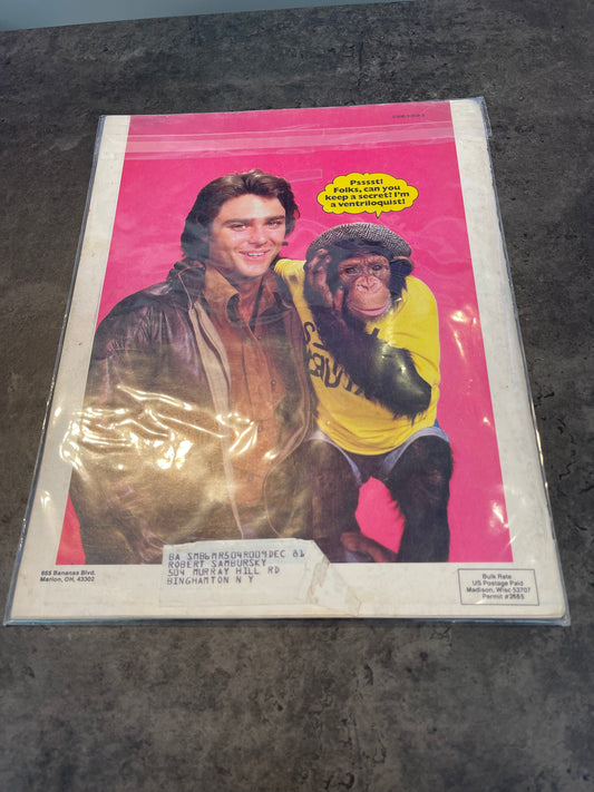Bananas Magazine