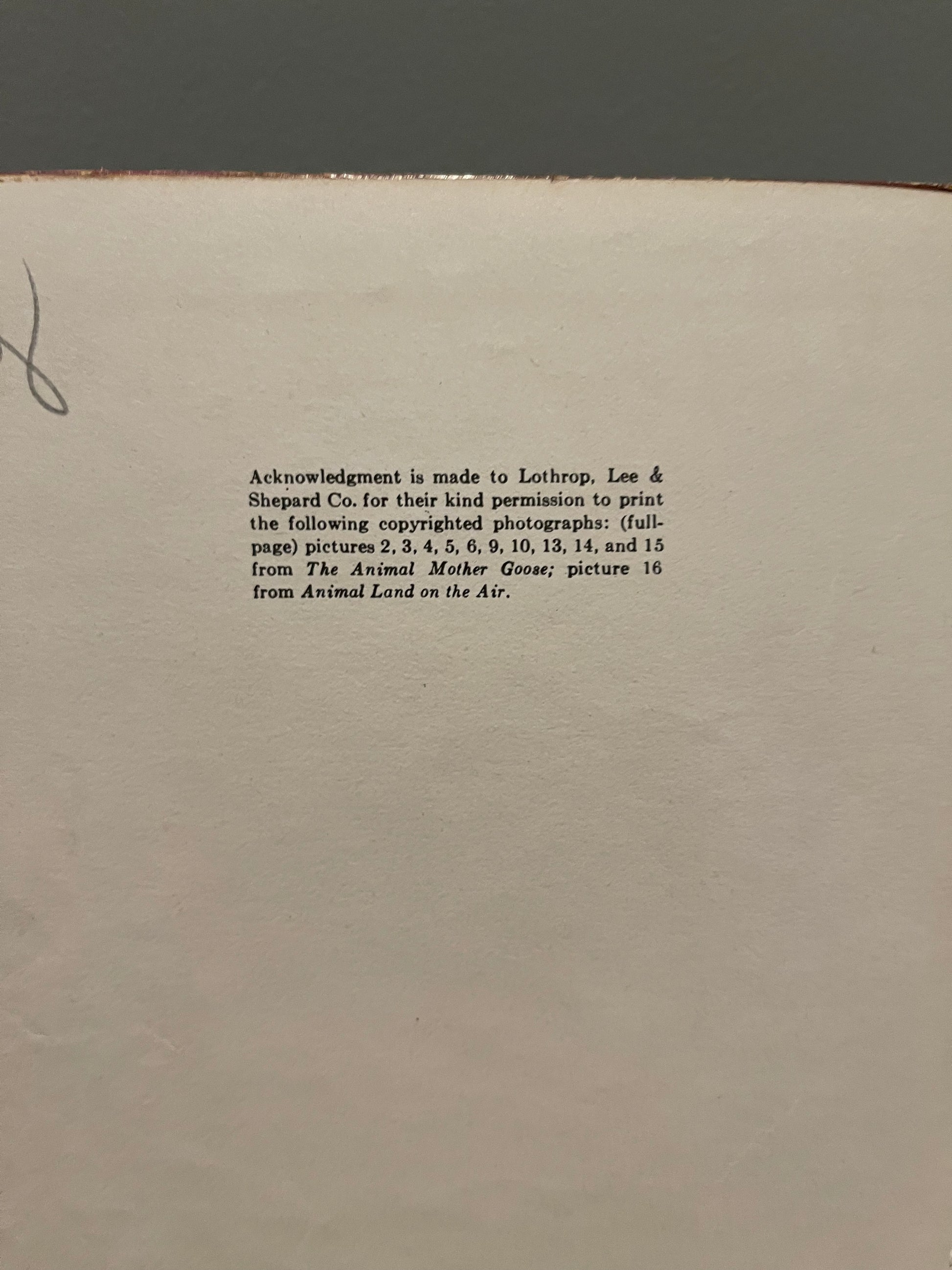 The Little Kittens Nursery Rhymes