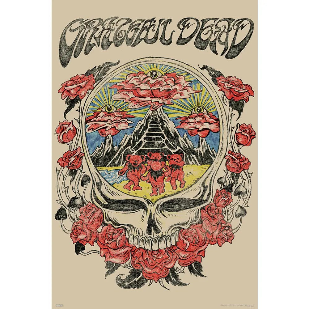 Grateful Dead Skull Vision Poster Rolled