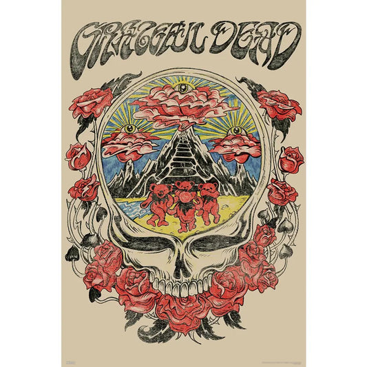Grateful Dead Skull Vision Poster Rolled