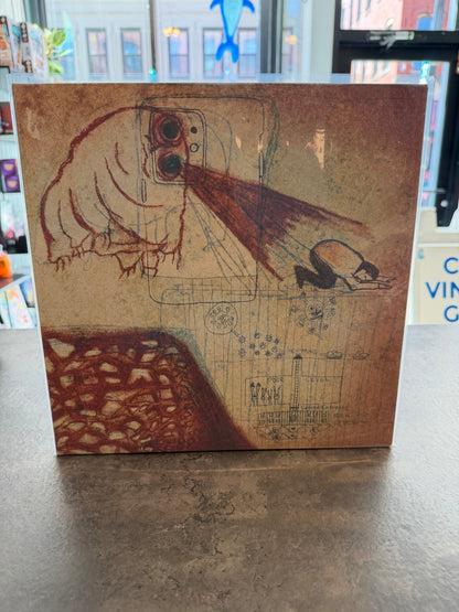 Deerhoof - Future Teenage Cave Artists 2029 Blood Red Vinyl
