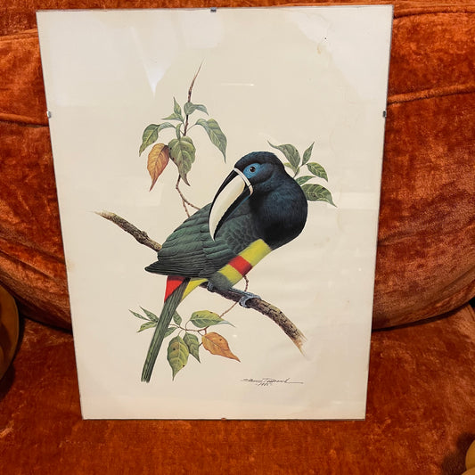 Etienne Demonte Cayenne Aracari Lithograph