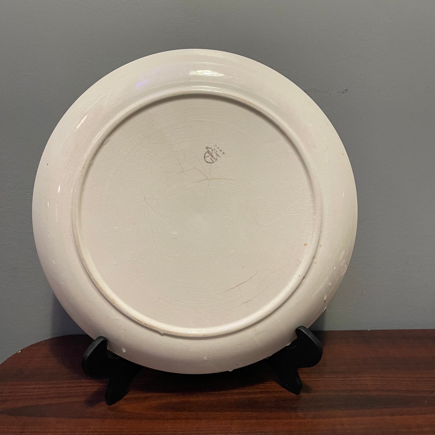 Salem China Southwind Dinner Plate