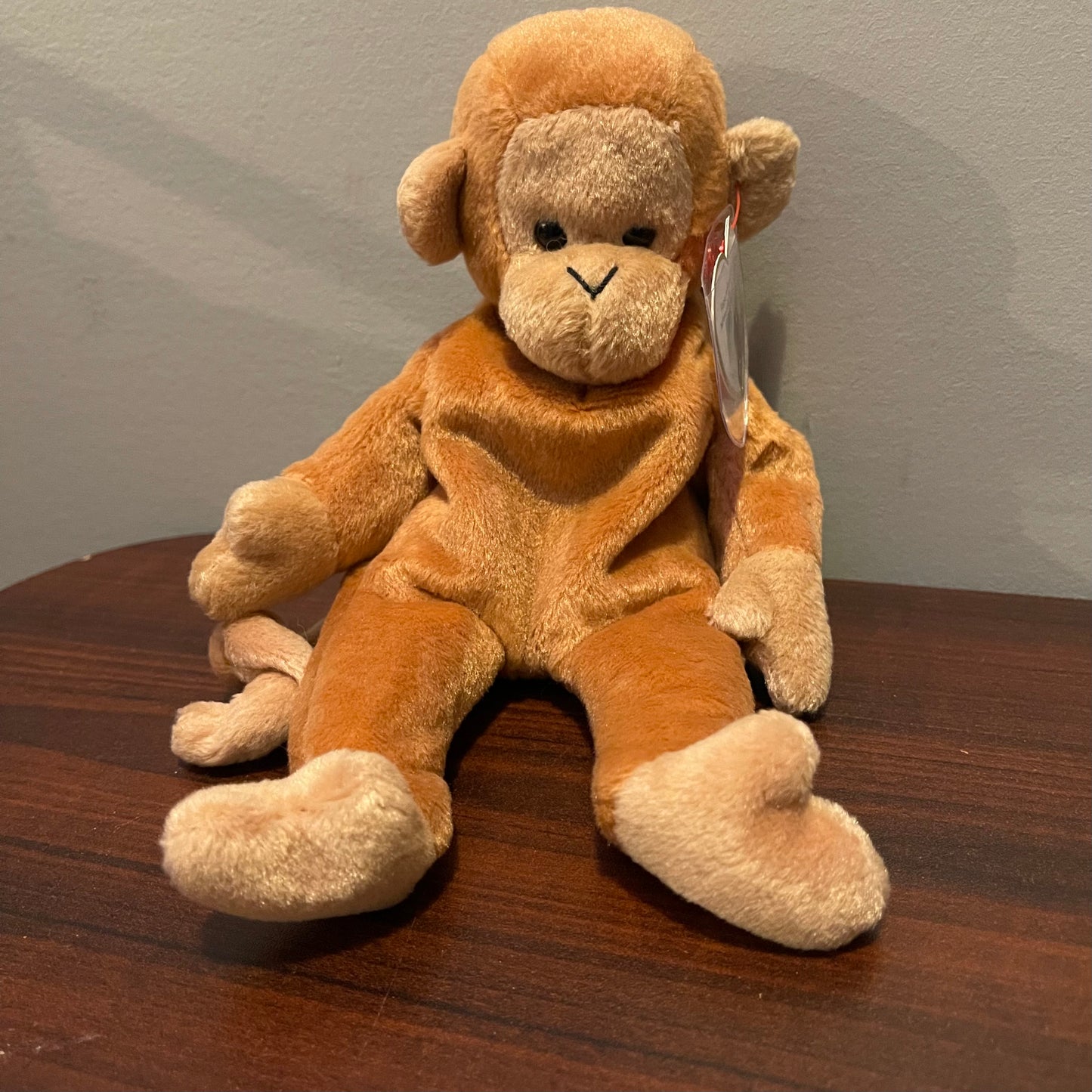 Beanie Babies with Tag