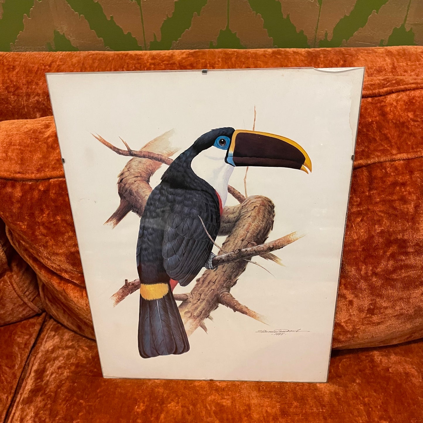 Etienne Demonte Toucan Lithograph