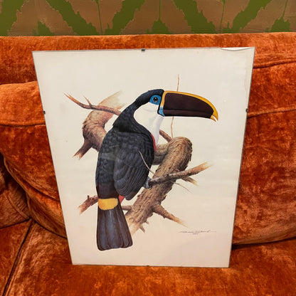Etienne Demonte Toucan Lithograph