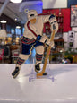 Hockey Suncatchers