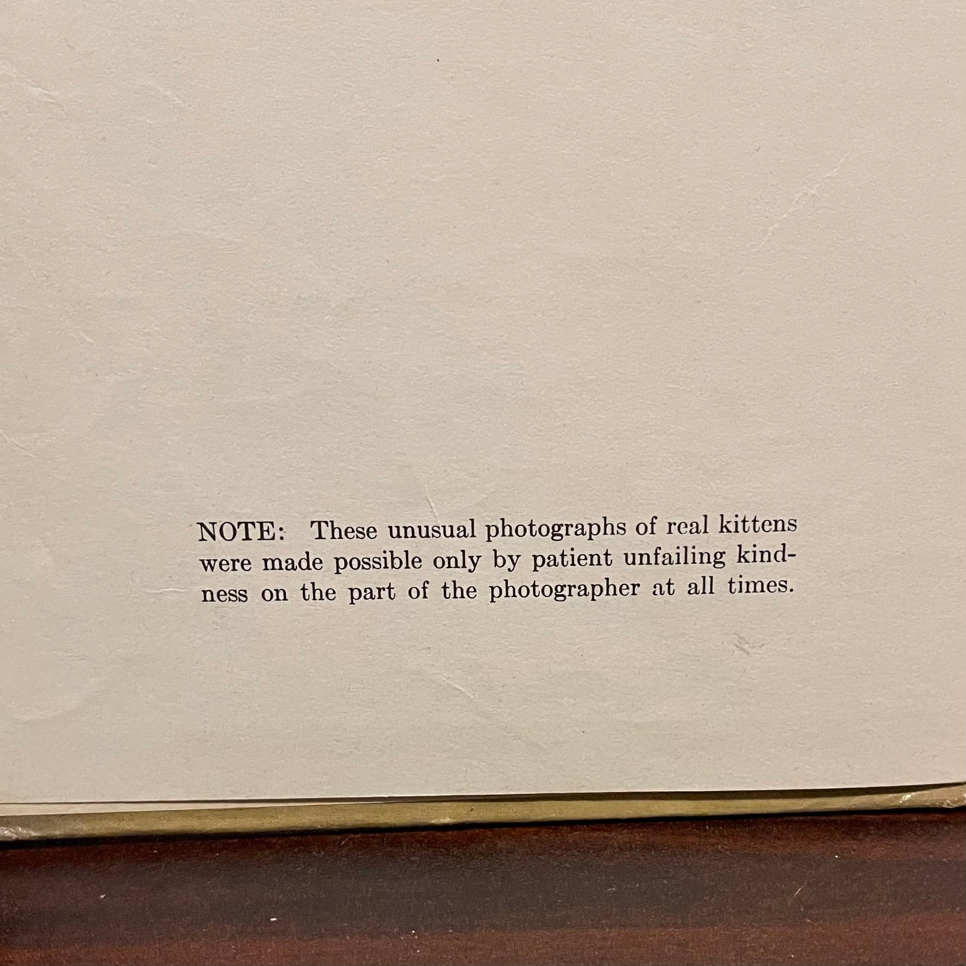 The Little Kittens Nursery Rhymes