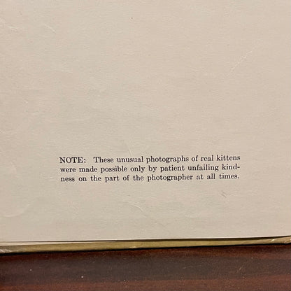 The Little Kittens Nursery Rhymes