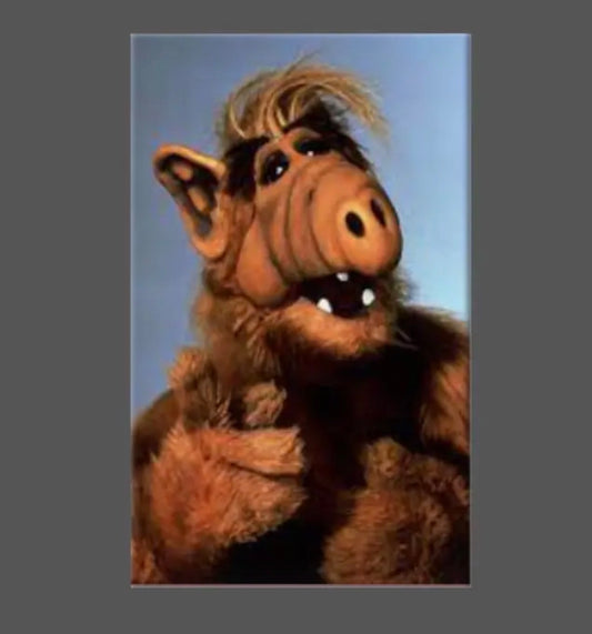 Alf Magnet