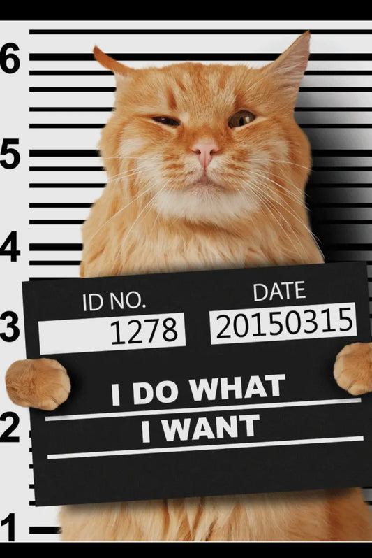 Cat Mugshot Magnet