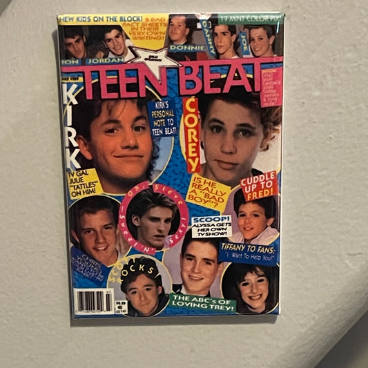 Teen Beat Magnet