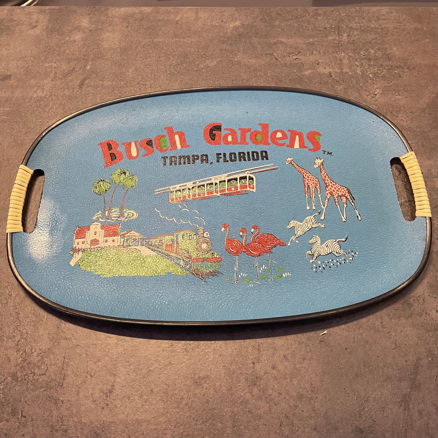 Busch Gardens Tamps Tray