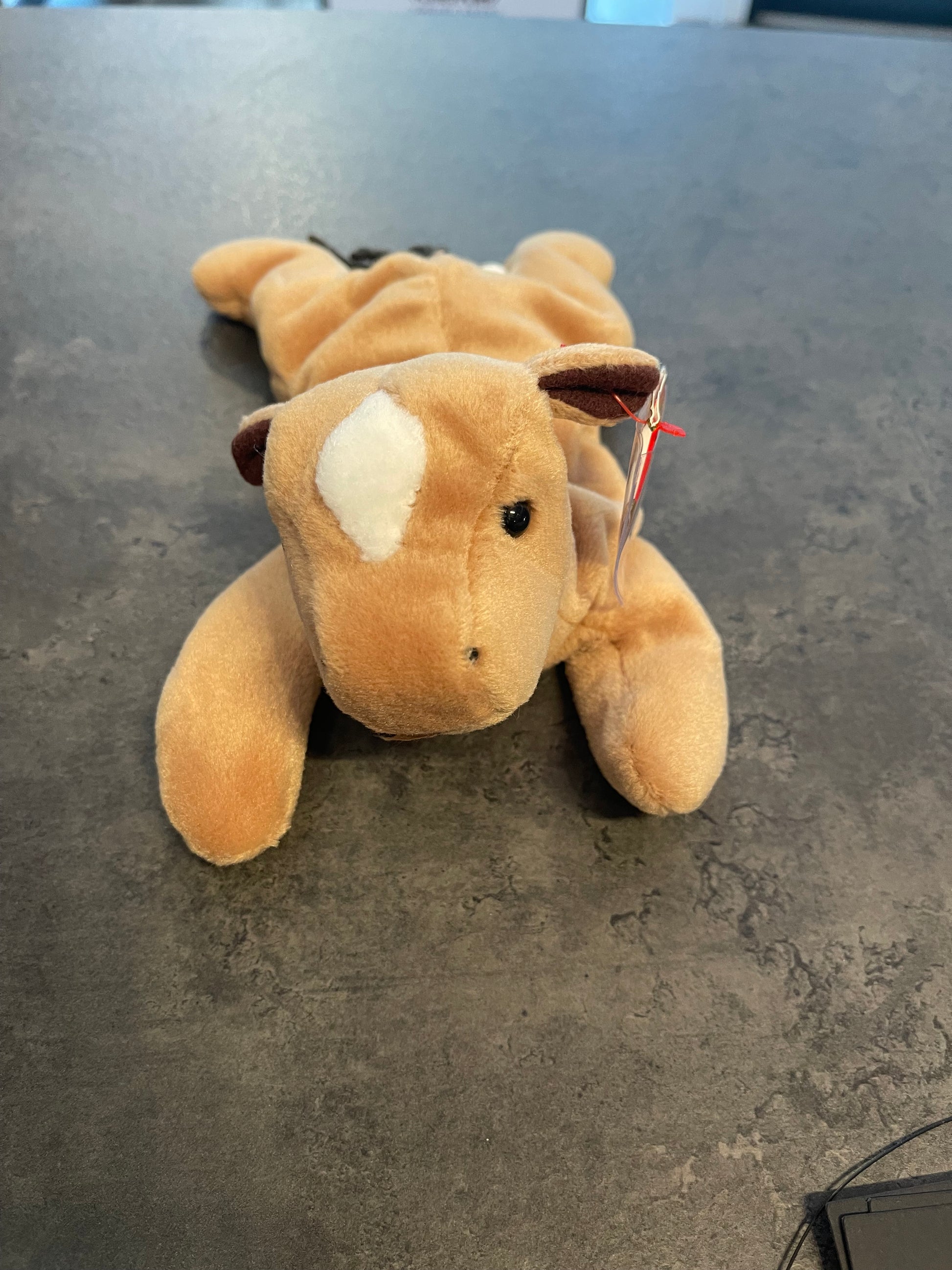 Beanie Babies with Tag