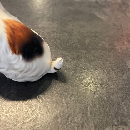 Porcelain Terrier