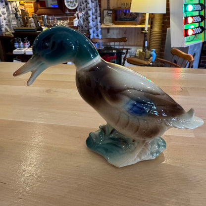 Pair of Glazed Mallards
