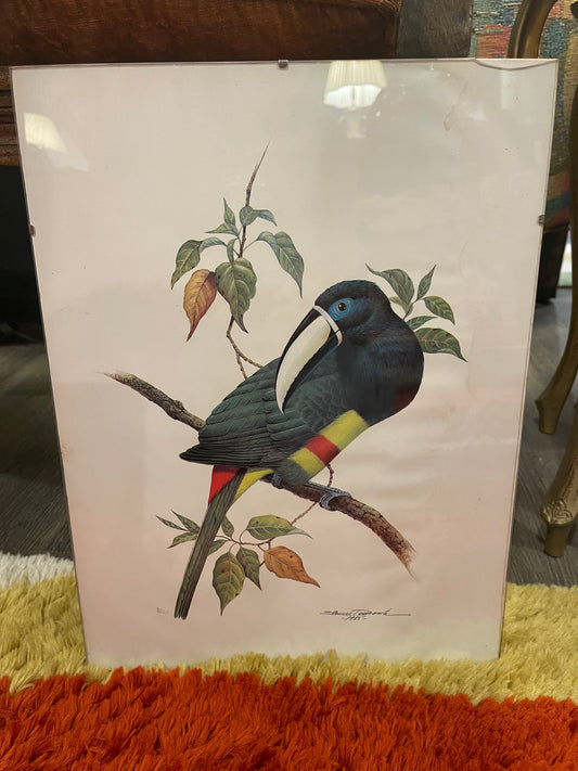 Etienne Demonte Cayenne Aracari Lithograph
